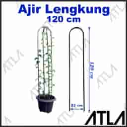 f2d5d024-afb7-4f8a-976d-0d2cdc0e5add (2)