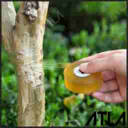Self-Adhesive-Pertanian-Pohon-Buah-Sabuk-Grafting-Tape-Transparan-Plastik-Film-Grafting-untuk-Pohon-Buah-Perban