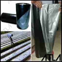 mulsa-plastik-hitam-perak