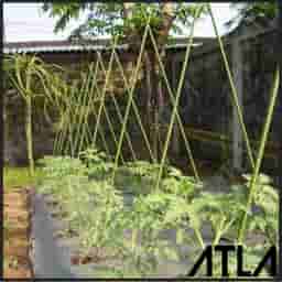 48556922 b873cdf1-45bb-406d-9872-ddb34a73ce7f 986 1318